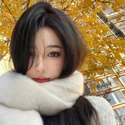 雪地黄金犬2